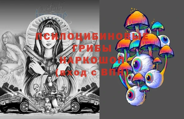 мдпв Вяземский
