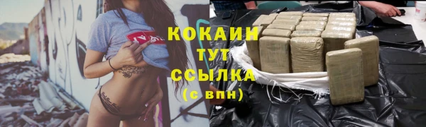 мдпв Вяземский