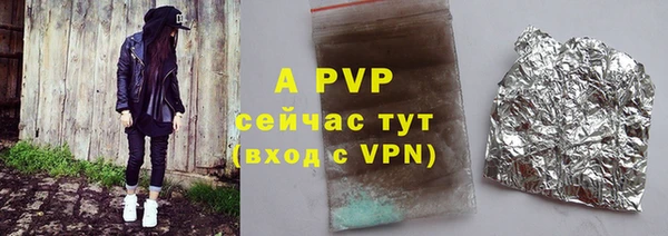 мдпв Вяземский